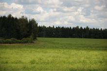 Istra Horse Farm