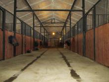 Istra Horse Farm