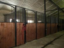 Istra Horse Farm