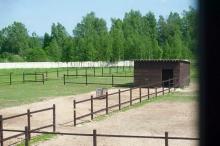Частная конюшня в Малоярославце (ЭквиТерра)