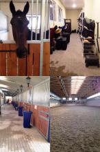 КСК "Maxima Stables" (КСК "Ориент")