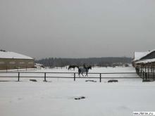   КК "Чашниково"