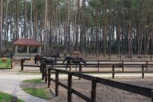 КСК "Пегас" 