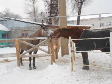 КК "Альманах"