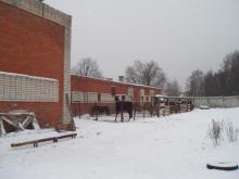 КСК "Леон"