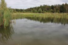 КК "Аркаим"