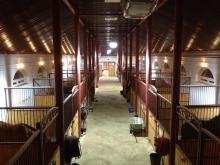 КСК "Pony Land"