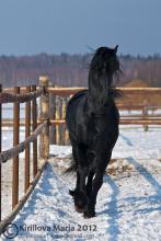 КСК "Свечинский"