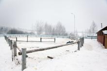 КК "Феникс"