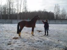 КСК "Леон"
