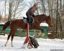 КСК "Мангуст"