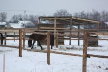 КСК "Русские просторы"