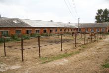Istra Horse Farm