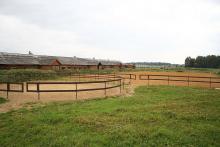 Istra Horse Farm