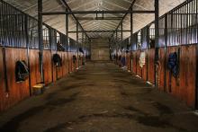 Istra Horse Farm