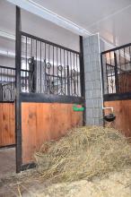 КК "Останково"