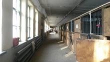 Городской Конный Центр на ВДНХ 