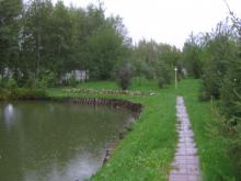 КК "Феникс"