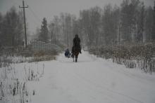 КФХ Дольчи Зарра