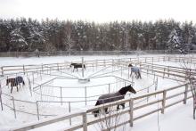 КСК "Русский алмаз"