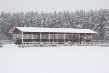 КСК "Русский алмаз"