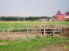 КСК "Загорново"