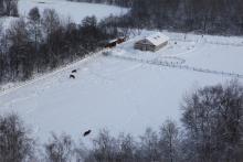 Конный двор в усадьбе "Знаменское-Раёк"