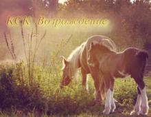КСК "Возрождение"