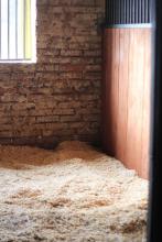 Istra Horse Farm