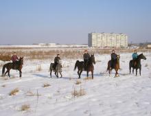  КСК "Люберецкий конный двор"