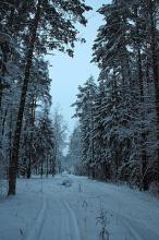 КК "Риск"
