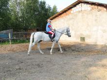 КК "Рыжик"