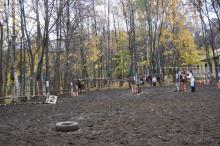  ДЮСОК "Чемпион"