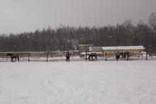 КСК "Авангард"