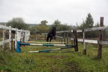 КФХ "Виват"